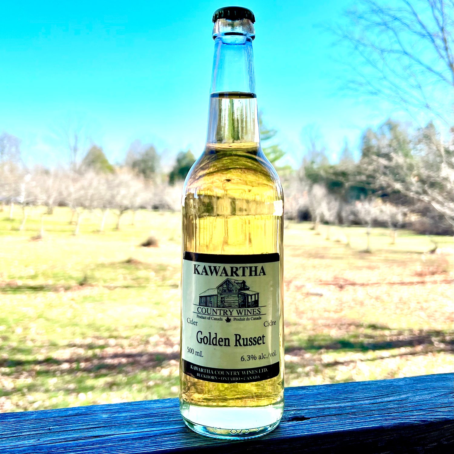 CIDERS & COOLERS
