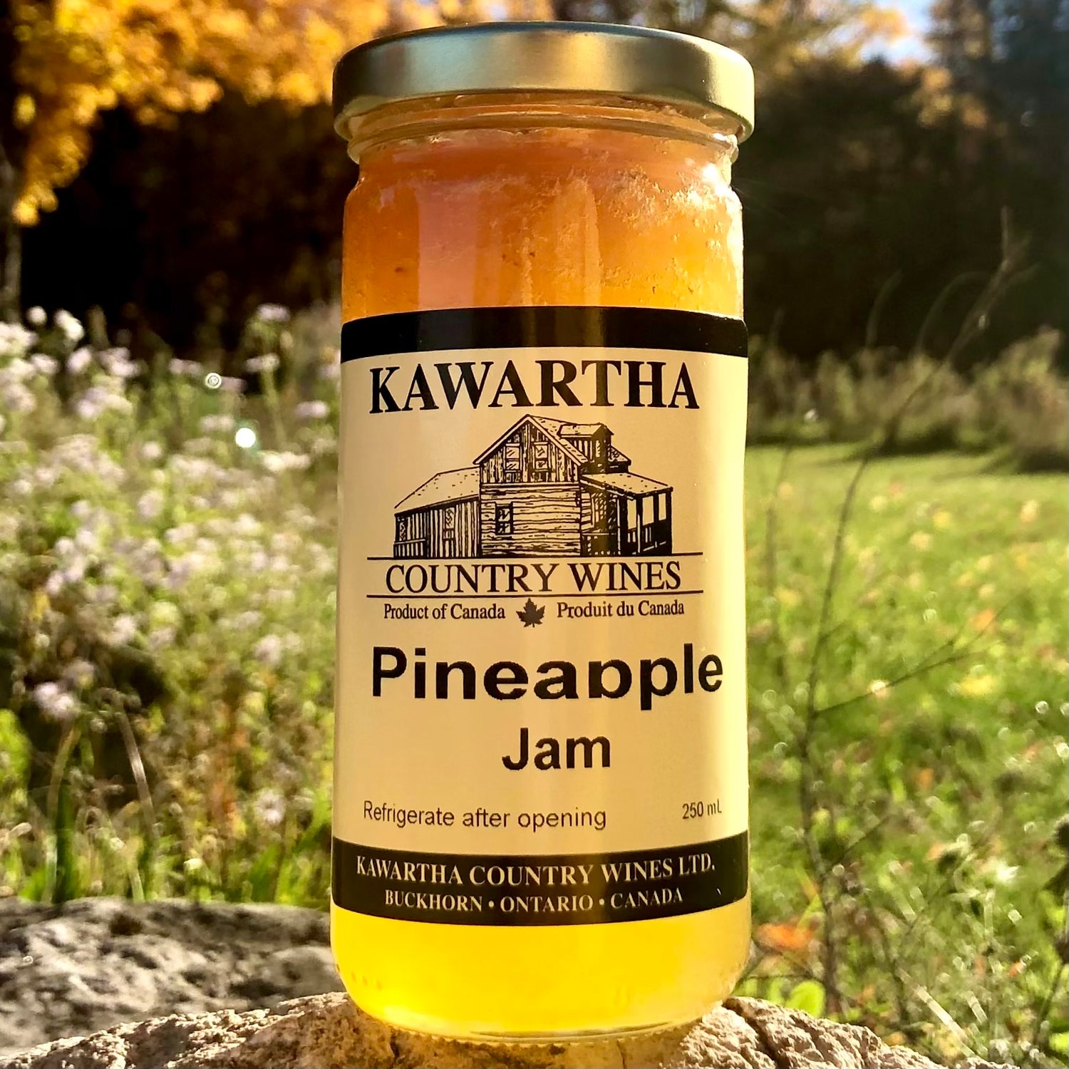 PRESERVES