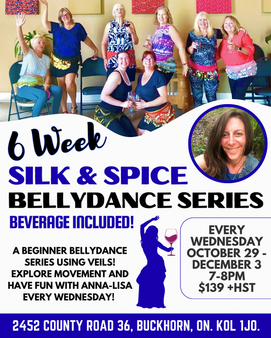 Silk & Spice Bellydance Series | 6 Weeks