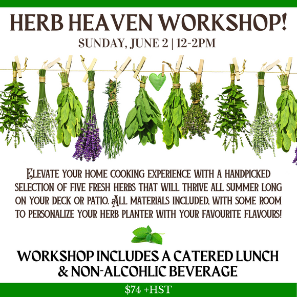 Herb Heaven | Sun June 2