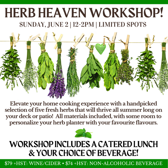 Herb Workshop | Sun June 2