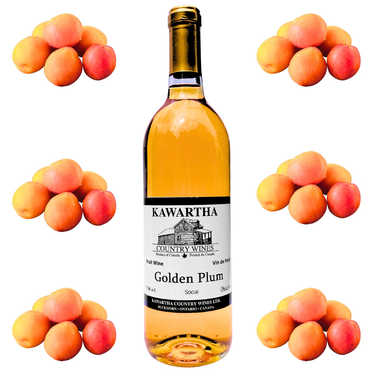 Golden Plum Wine