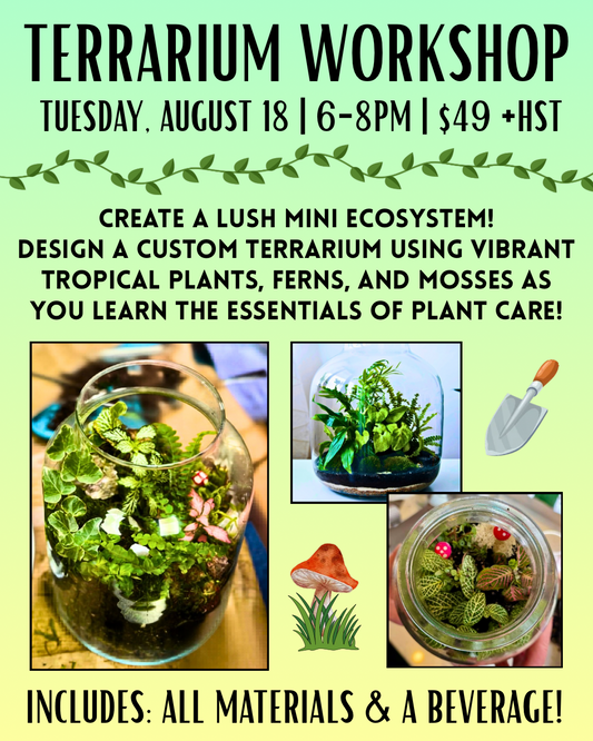Terrarium Workshop | August 18